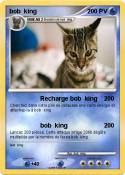 bob king