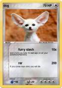 dog