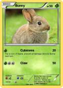 Bunny