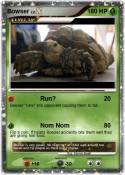 Bowser