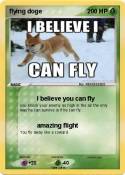 flying doge