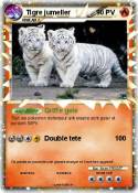 Tigre jumeller