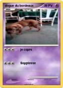dogue du bordea