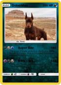 DoberMan
