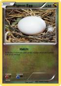 Pigeon Egg