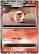 hamster