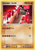 Groudon niv:80