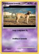 sighthound bree