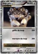 loup gris