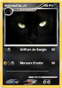 NoireauCat