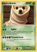 Dog in a Burrit