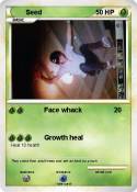 Seed