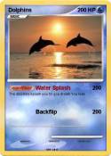 Dolphins
