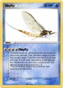 Mayfly