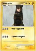 beauceron