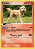 Fire Dog