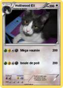 Holliwood EX