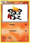 pandaken