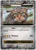 Scottish wild