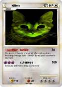 kitten
