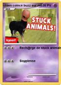 chien coincé