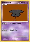 nez de chien