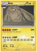 Moth