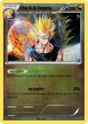 the S.S Vegeta