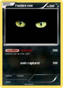 l'ombre noir