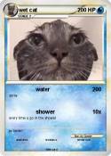 wet cat