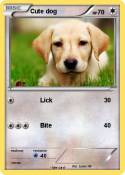 Cute dog