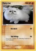 Furry Cat