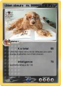 chien obsure