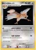 bird shibe