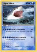 requin blanc