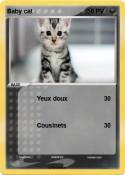 Baby cat