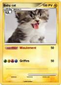 Baby cat