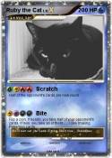 Ruby the Cat