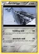fort briggs