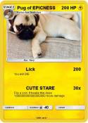 Pug of EPICNESS