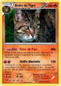 Etoile du Tigre