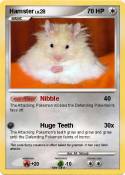 Hamster