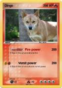Dingo