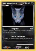 gato asesino