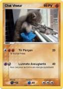 Chat Viseur