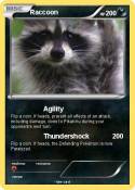 Raccoon