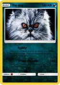 The dog