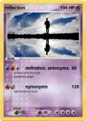 reflection