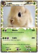 Lapin