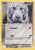 Tigre